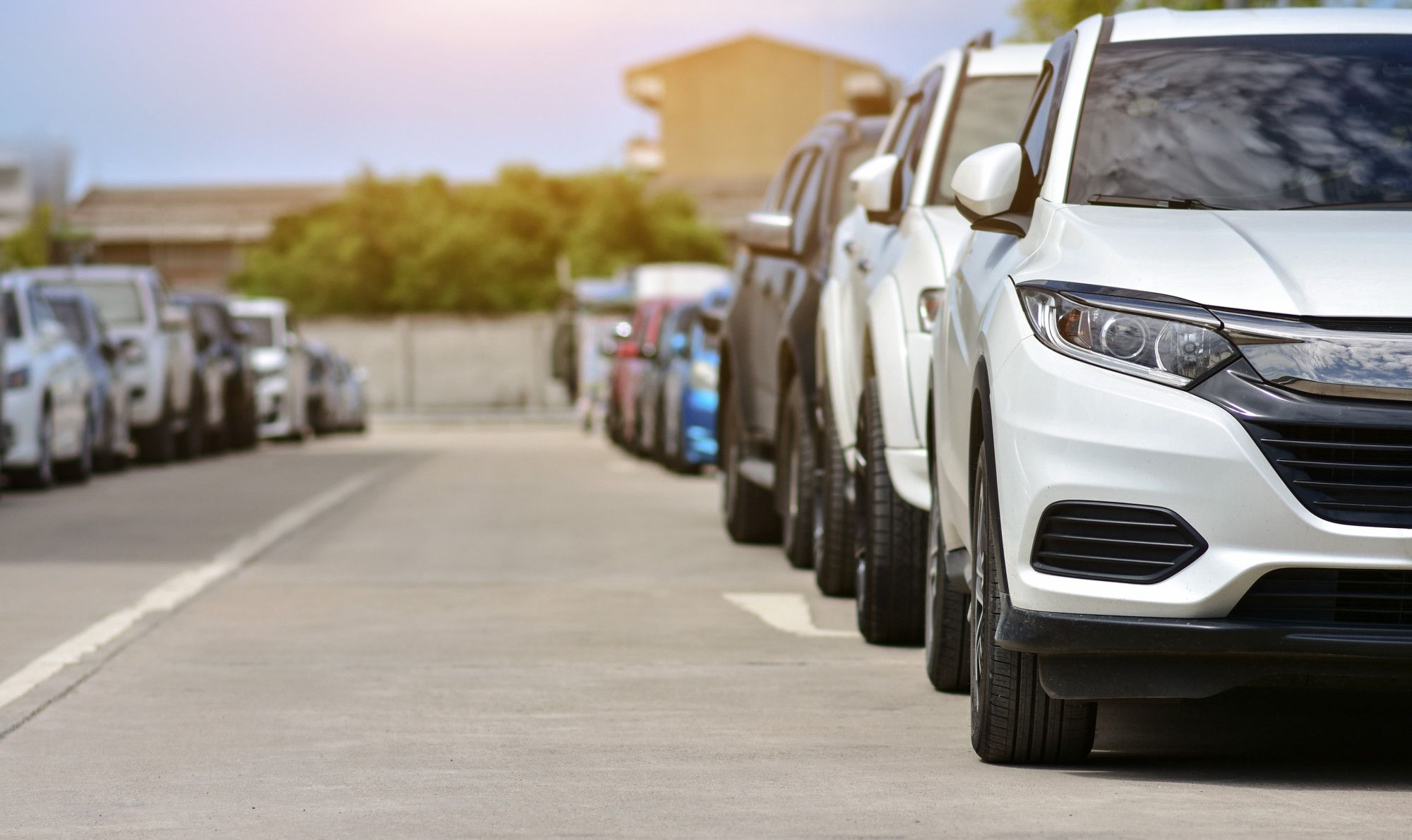 Seguros para vehículos