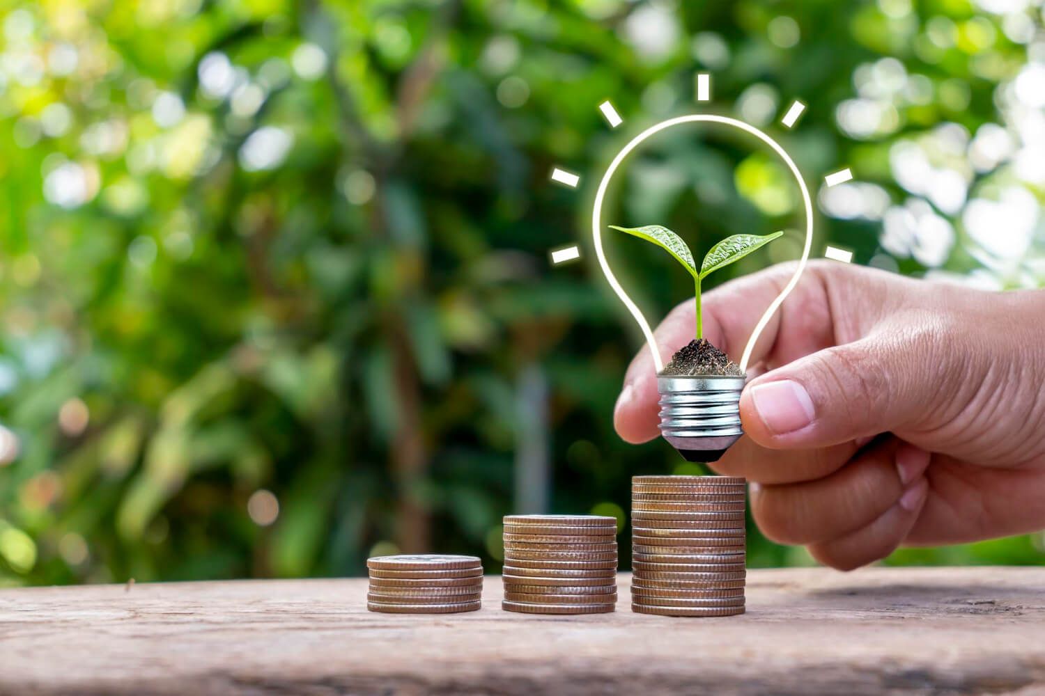 Servicio vida, ahorro e inversión
