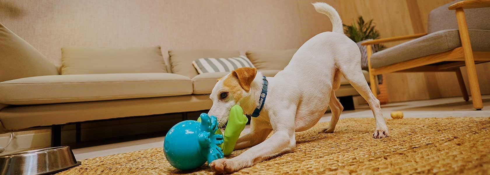 responsabilidad civil perros
